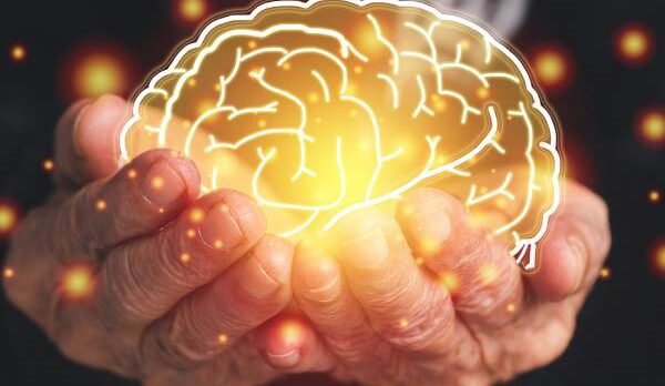 musha- services-dimentia musha- services-dimentia